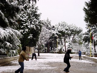 Snowball Fun